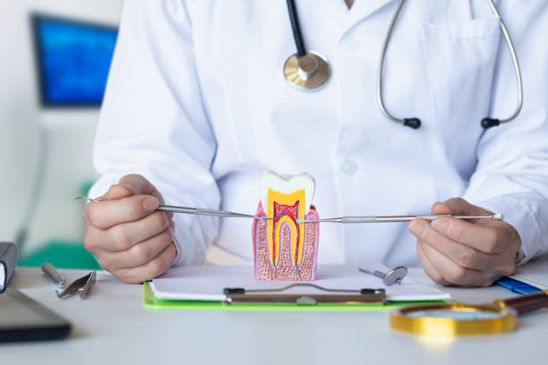 Best Emergency Dental Care for Trauma or Injury in Woodburn, VA